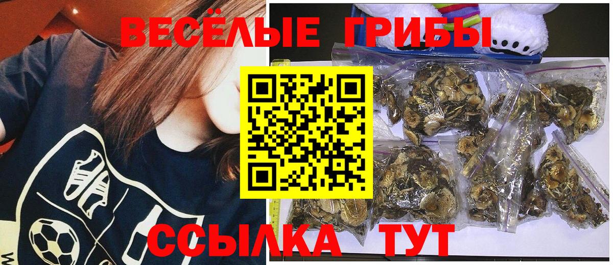 Псилоцибиновые грибы мицелий Стерлитамак
