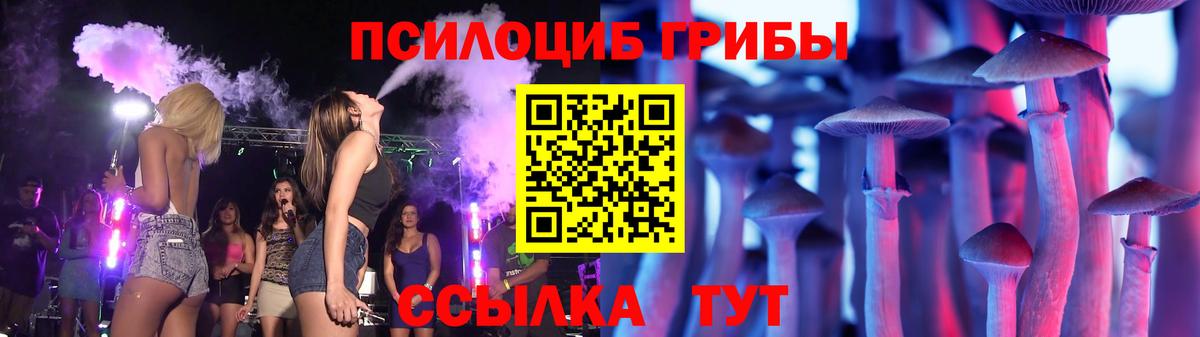Стерлитамак  Псилоцибиновые грибы мухоморы  Вход с VPN 