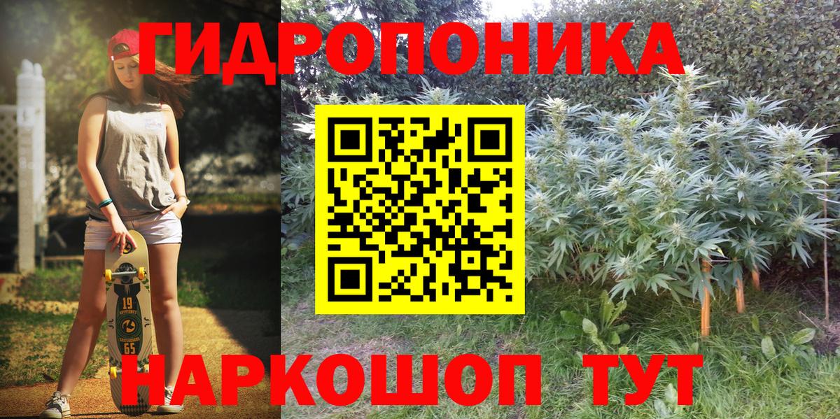 Стерлитамак  Конопля план  Вход с VPN  Канабис сатива  Бошки Шишки Bruce Banner 